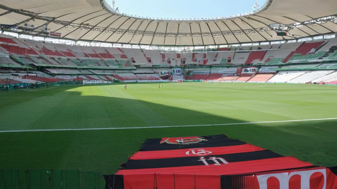 Transmissão Ao Vivo de Flamengo vs. Palmeiras: Onde Assistir e Detalhes Importantes